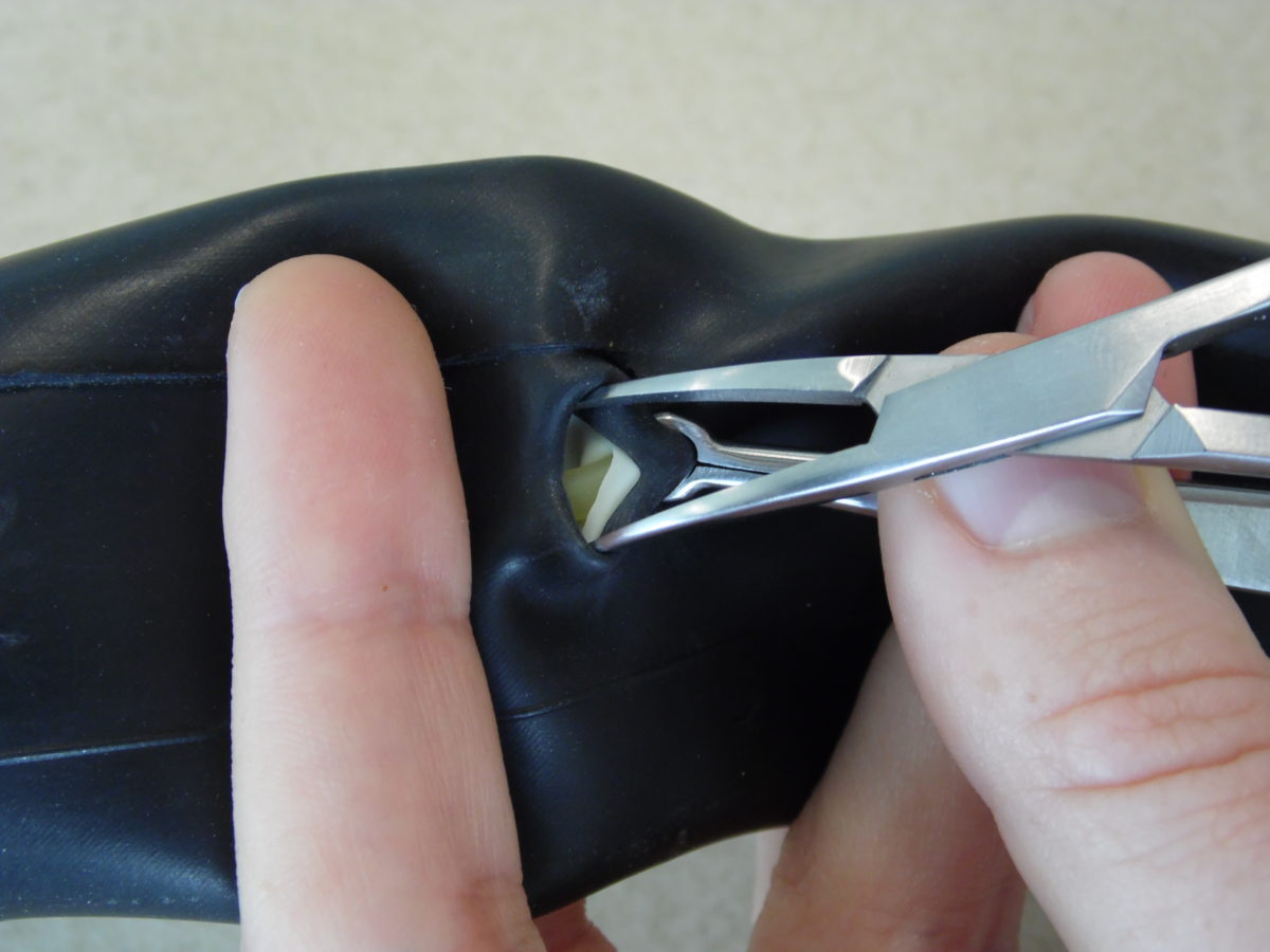 Bicycle Inner Tube Model Vasectomy Resources